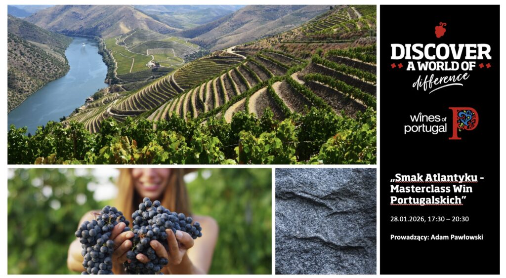 degustacja win portugalskich